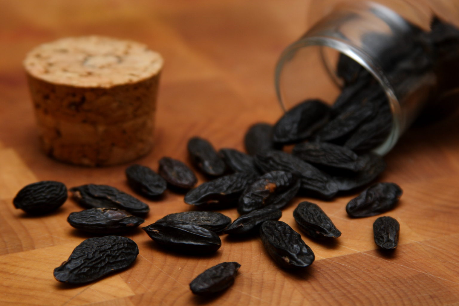 What Does Tonka Bean Smell Like? More Scents Than Sense